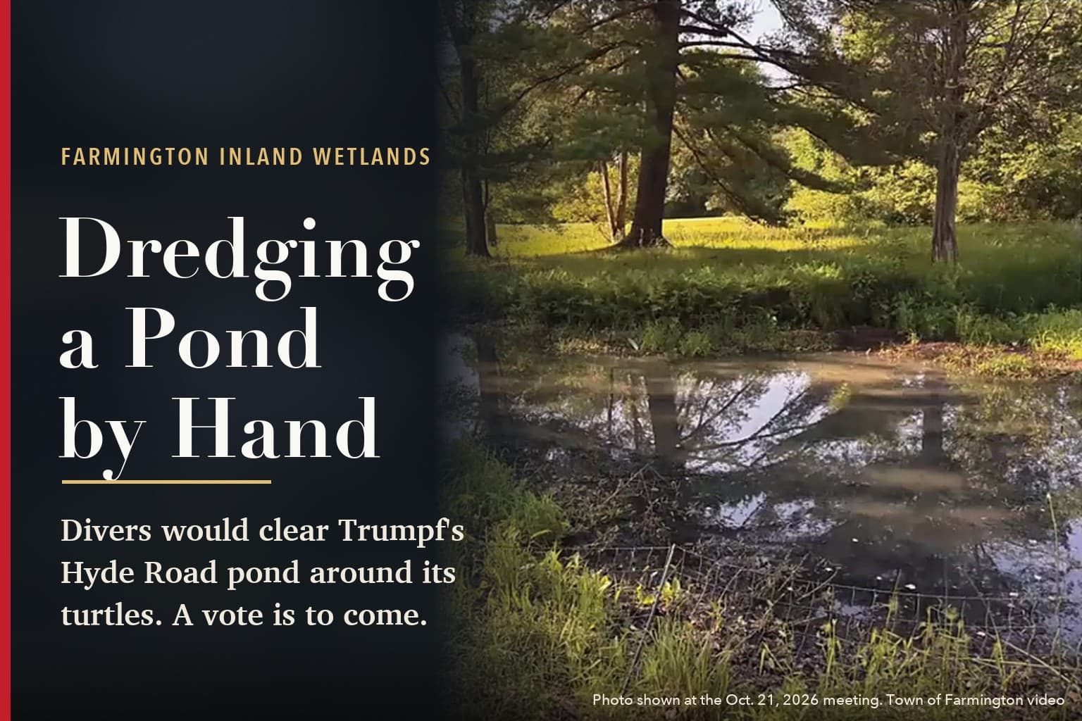 A pond edged with grass and pines at 111 Hyde Road in Farmington, the trees reflected in still water, with the headline: Divers Would Dredge Trumpf Pond by Hand, Around Turtles